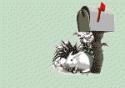 Rabbit_and_mailbox.gif