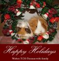 Happyholidaytch.jpg