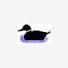 Duckman
